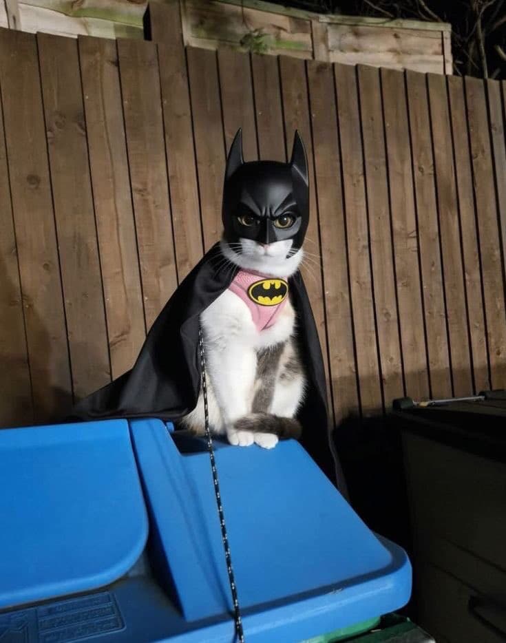 Станислацжв