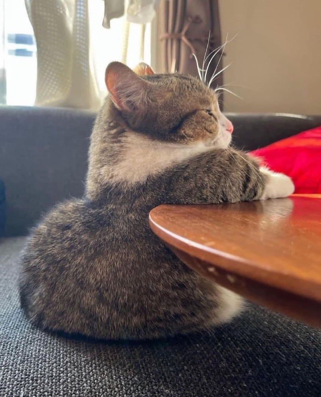 дсгфсдг зьжф 2