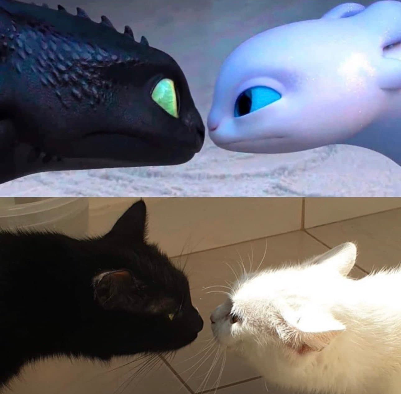 дсгфсдг зьжф 1